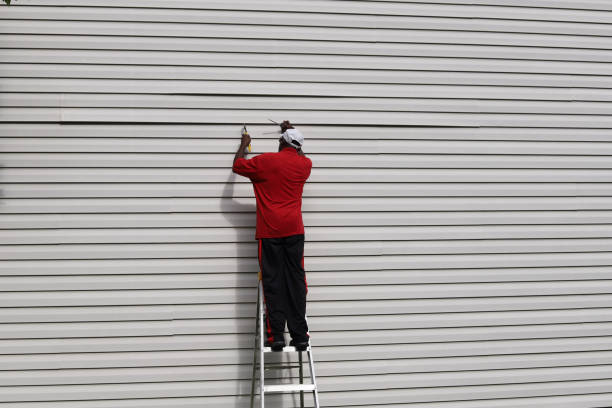 Best Fiber Cement Siding Installation  in Gainesville, FL